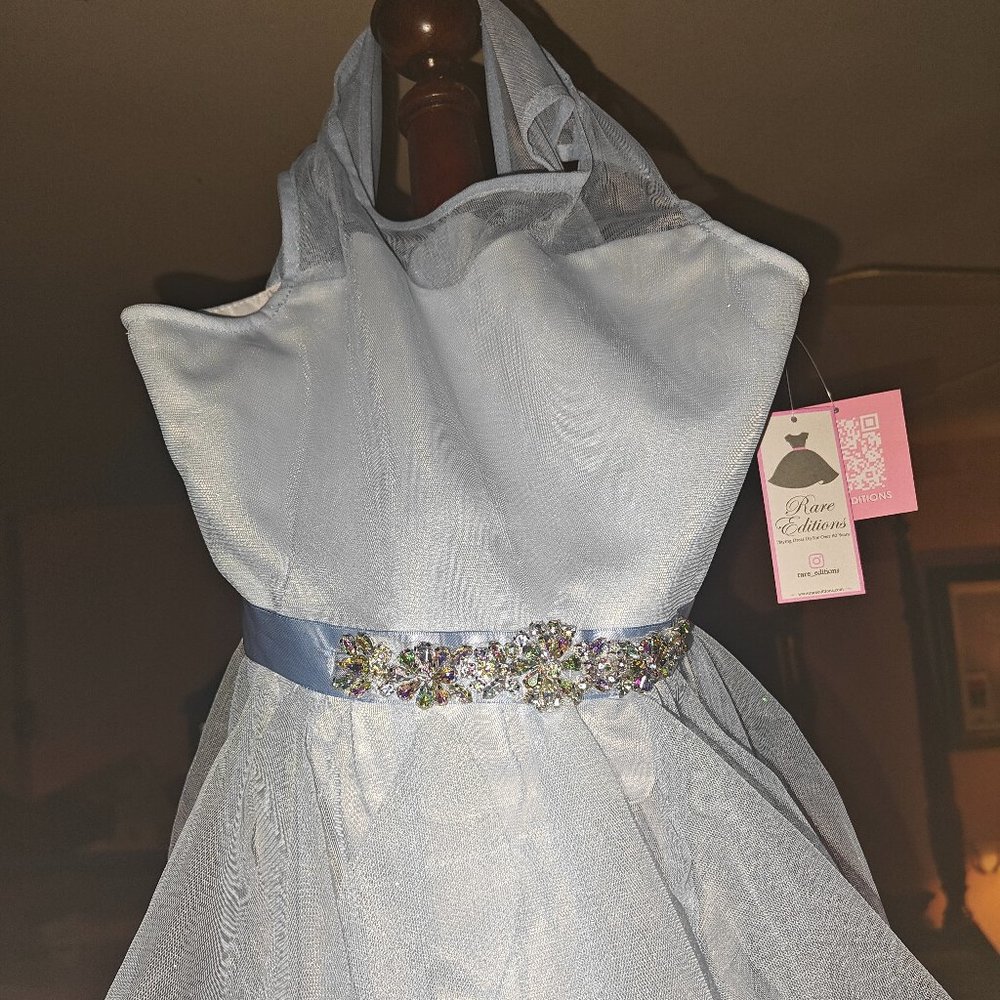 Rare editions size 14 little girl princess dress
